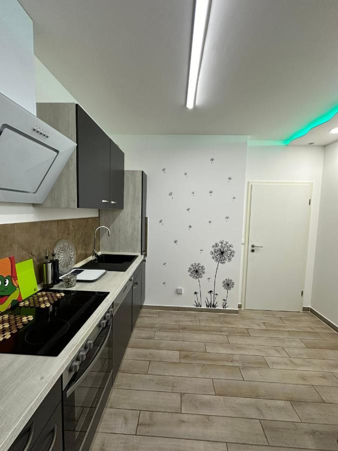 Modern Apartments Neuburg C - Top - 3 Zimmer, Stellplatz, Zentrum, Wi-Fi, 3 Tv, Kueche Neuburg an Der Donau Εξωτερικό φωτογραφία
